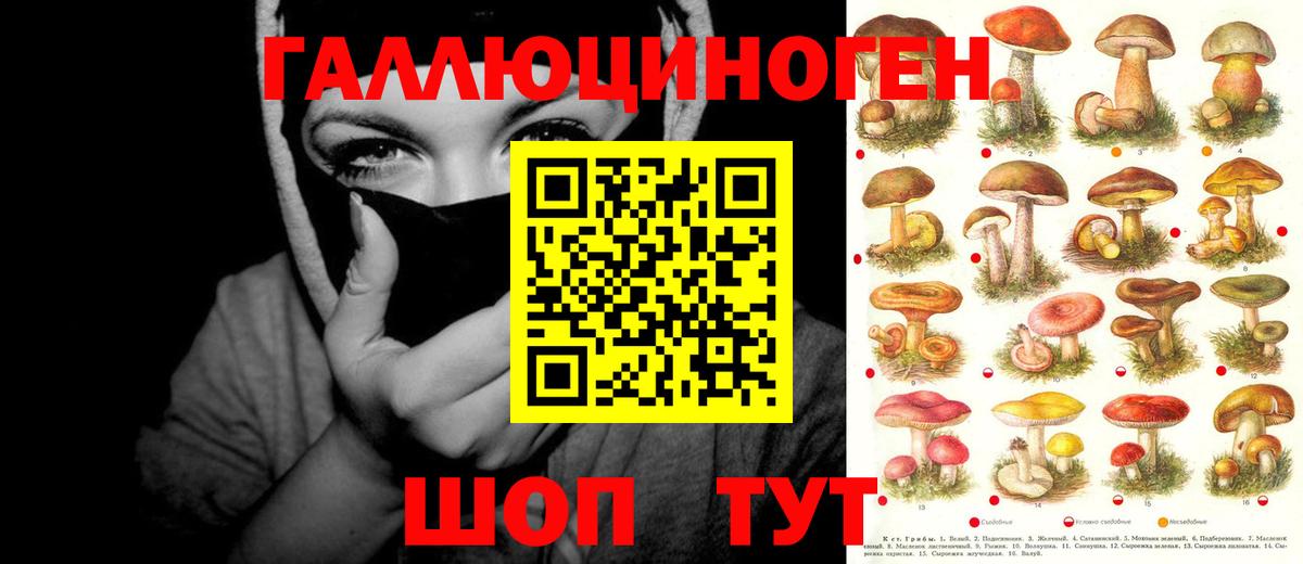 Галлюциногенные грибы прущие грибы Мегион